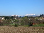 IMG_5791.jpg