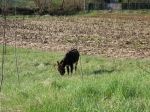 IMG_5792.jpg