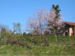 IMG_5793.jpg