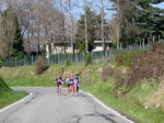 IMG_6163.jpg