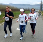 Filename=Neri-Carloni_jpg.jpg
Filesize=134KiB
Dimensions=750x736
Date added=Feb 06, 2008 Neri-Carloni_jpg.jpg