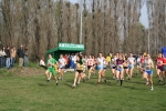 IMG_8076.JPG
