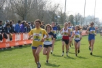 IMG_8316.JPG
