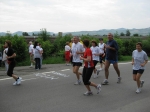 IMG_2617.jpg