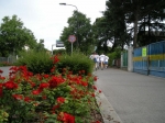 cerv_08_026.jpg
