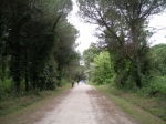 cerv_08_031.jpg