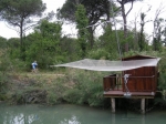 cerv_08_042.jpg