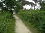 cerv_08_062.jpg
