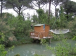 cerv_08_063.jpg