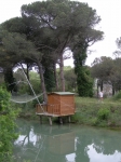 cerv_08_066.jpg