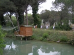 cerv_08_067.jpg