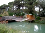 cerv_08_077.jpg