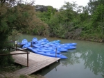 cerv_08_082.jpg