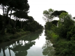 cerv_08_088.jpg