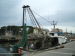 cerv_08_137.jpg