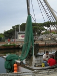 cerv_08_140.jpg