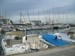 cerv_08_144.jpg