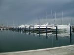 cerv_08_151.jpg