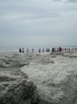 cerv_08_153.jpg