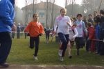 Filename=cimg0126.jpg
Filesize=141KiB
Dimensions=1024x685
Date added=Feb 24, 2008 cimg0126.jpg