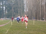 Filename=151_5157.jpg
Filesize=223KiB
Dimensions=1024x768
Date added=Feb 26, 2008 151_5157.jpg