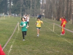 Filename=152_5238.jpg
Filesize=188KiB
Dimensions=1024x768
Date added=Feb 26, 2008 152_5238.jpg
