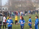 152_5274.jpg