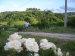 sangiovanni_08_036.jpg