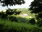 sangiovanni_08_043.jpg