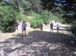 Filename=IM000717.jpg
Filesize=245KiB
Dimensions=1024x768
Date added=Jun 03, 2008 IM000717.jpg