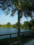 cot_08_009.jpg
