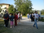 cot_08_014.jpg