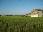 cot_08_018.jpg