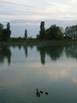 cot_08_052.jpg