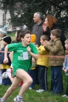 IMG_7725.JPG