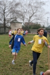 Filename=IMG_7775.JPG
Filesize=154KiB
Dimensions=683x1024
Date added=Mar 11, 2008 IMG_7775.JPG