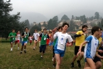 IMG_7865.JPG