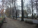 128.jpg