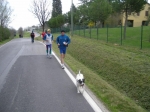 imola_08_042.jpg