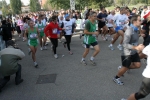 green_088.jpg