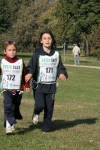 green_152.jpg