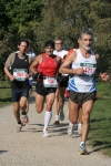 green_195.jpg