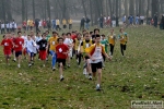 Filename=23_02_2008_Parco_di_Monza_Brianzolo-roberto_mandelli-0460.jpg
Filesize=159KiB
Dimensions=1024x683
Date added=Feb 23, 2008 23_02_2008_Parco_di_Monza_Brianzolo-roberto_mandelli-0460.jpg