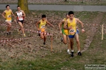 23_02_2008_Parco_di_Monza_Brianzolo-roberto_mandelli-0947.jpg
