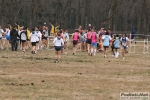 IMG_3916.jpg
