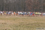 IMG_3920.jpg