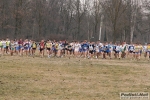 IMG_3921.jpg