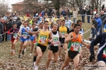 IMG_4493.jpg