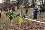 IMG_4550.jpg