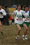 173.jpg